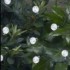 smart solar string lights smart solar string lights