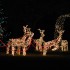 christmas lights battery operated christmas lights