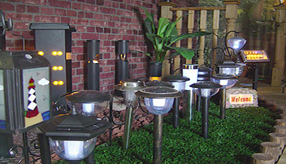 Best Solar Lights