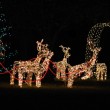 battery operated christmas lights